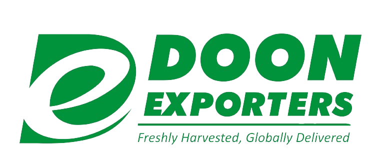 Doon Exporters
